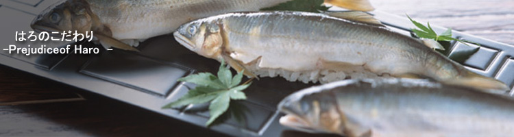 �͂�̂������